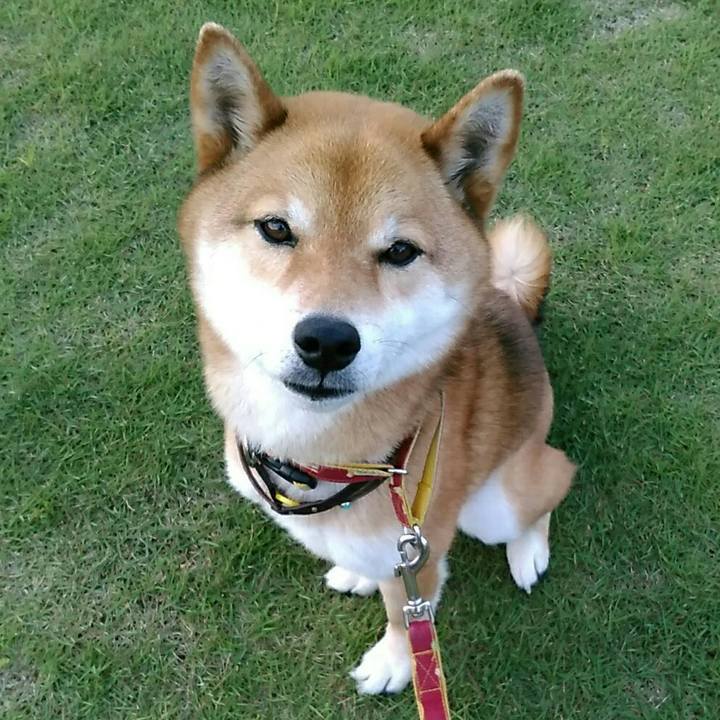 31feaa93 8531 4bd2 8ca1 fc16600aa4ee 1558519005692