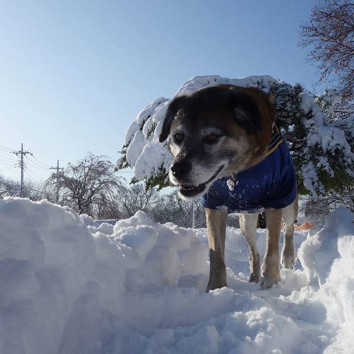 31fecd8d 64ce 4839 82bb 1bbeb4ef2bf8 1516678712111