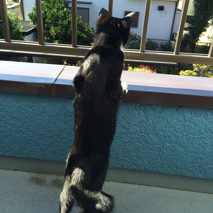 31ff0f03 9df8 42c4 a715 11822c562ef3 1509859780230