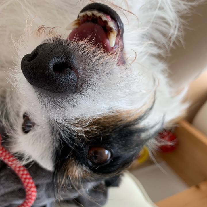 31ff45ce 4315 4c5b b15b cc3972ed1f85 1689303328392