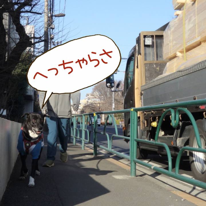 31ff5bd7 8bc3 45c4 8670 2eea8df64789 1677890718713