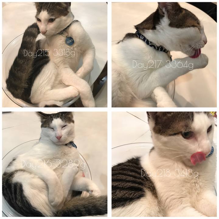 31ff73ab 4712 464f a100 4f9e521446a9 1511417198453