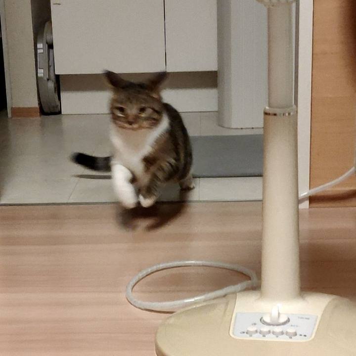 31ff8492 3440 4139 8457 d5075f069989 1663666171732