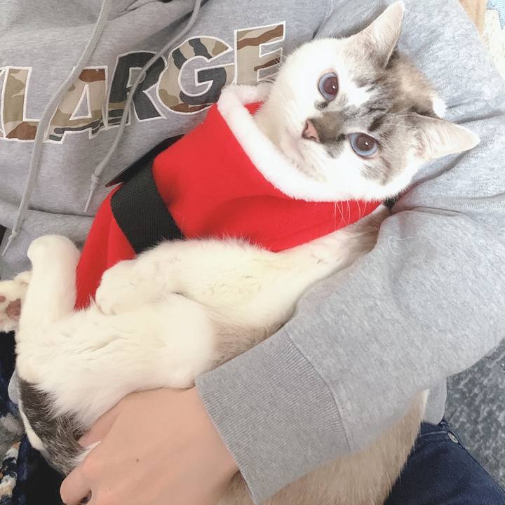 31ff88b2 3407 44dc a337 91358c113c35 1577237187083