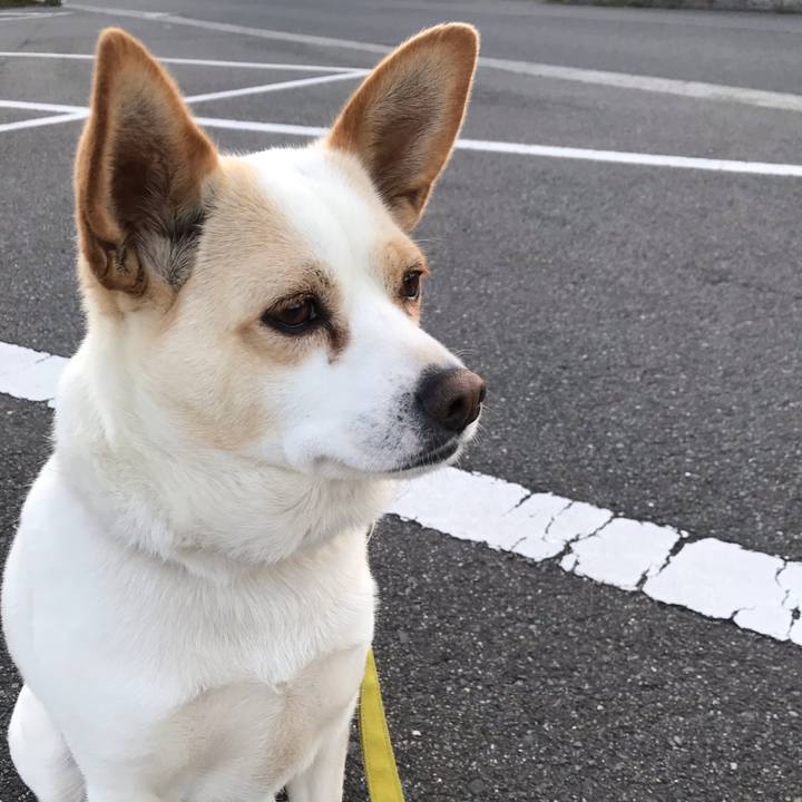 31ffb192 41d5 4079 9a5e 5c7fb04f05bc 1587888708994