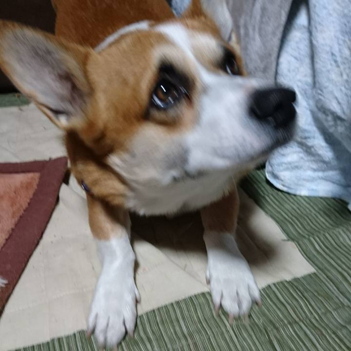 31ffcbf7 ec86 4209 9ec9 a96129c27607 1610028199661