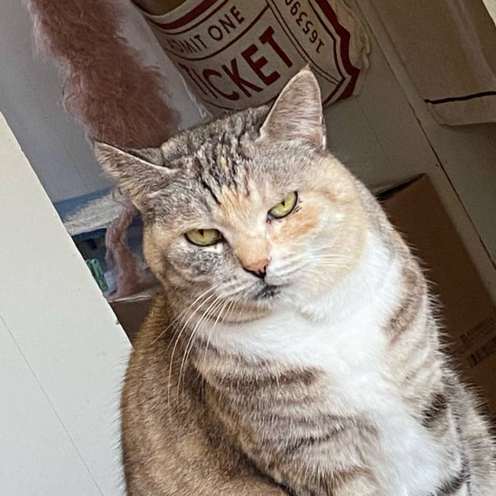 31fff716 d032 43b5 8d75 f7b2dd08dabe 1679211589535