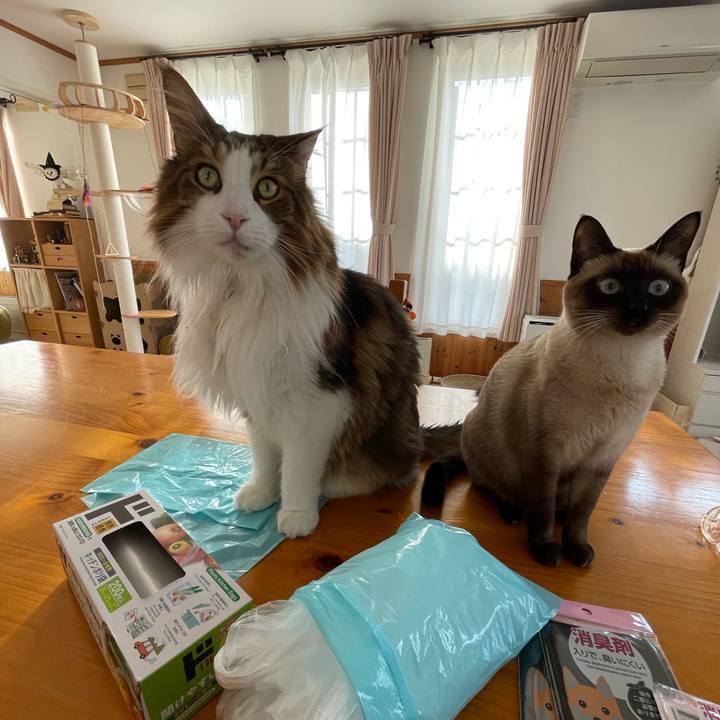 32001f46 0d9d 4ef6 844c fff4c0504538 1730014766805