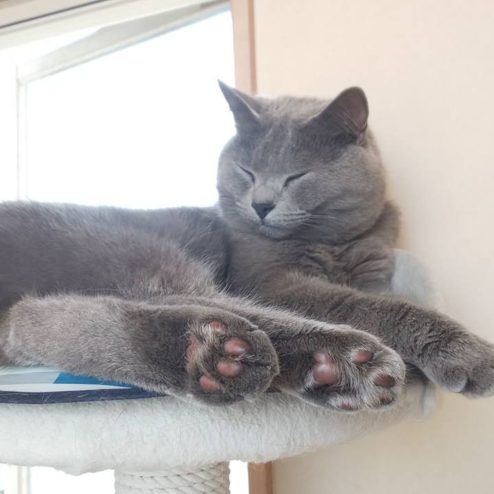 32002046 4854 4fcf a3b2 55723ab4d516 1563336957501