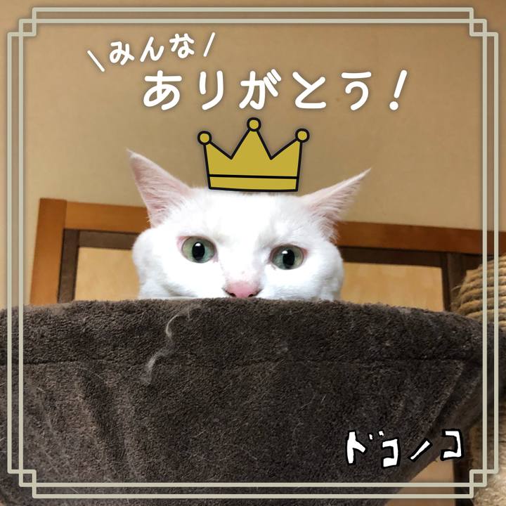 32002b2b b021 4cd0 a763 f093bb460408 1622866434341