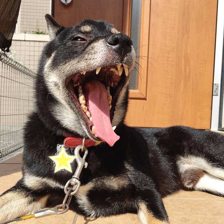 32006b85 3f80 4fe6 a5eb 99b6f746c1fa 1539745854663