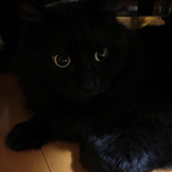 32006e10 d95e 4769 92ff cd4177c374cc 1556417423819