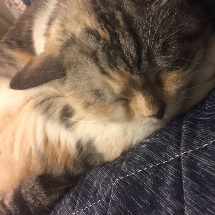 32009652 f1d7 45bc 91ed b58b321c9903 1561806065510