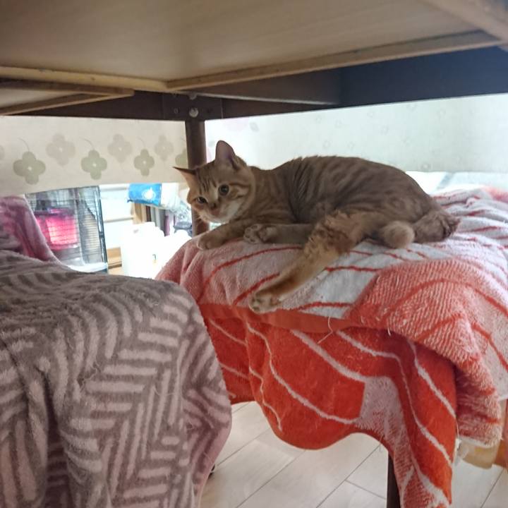 3200a772 4847 43ff a066 a9f24bcfb82e 1640826950978