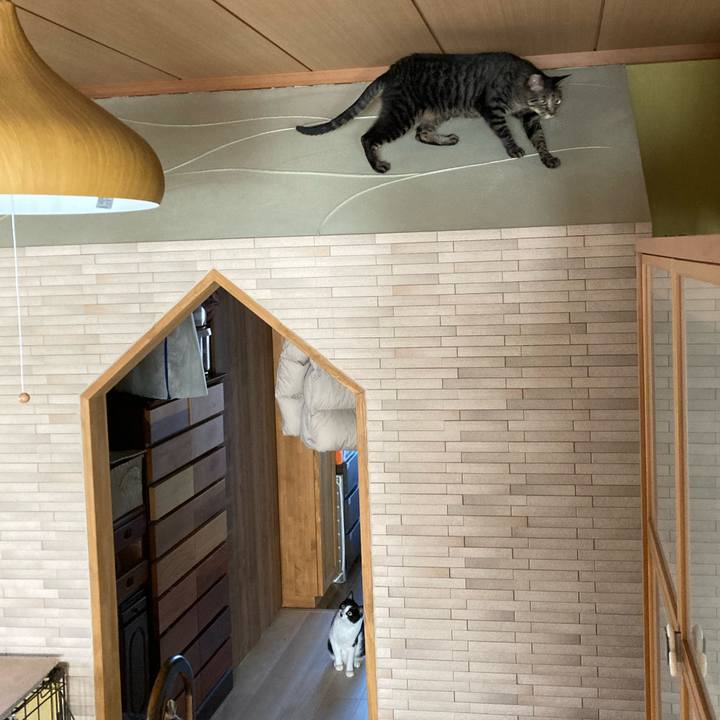 3200c126 ab77 439a ab25 235b38f832b3 1702470160036