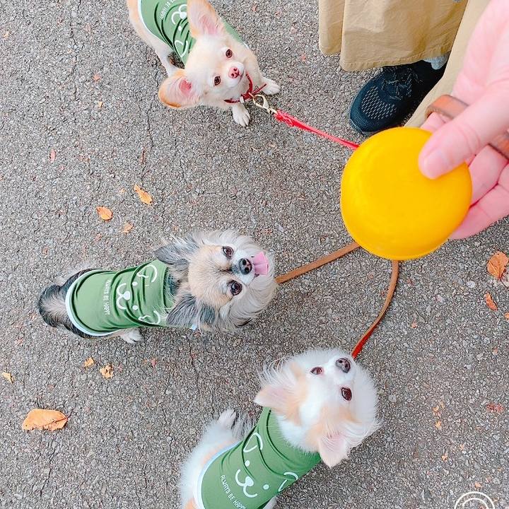 3200dc74 df73 4ef0 ab3d 1b31191cc5d4 1631006528024