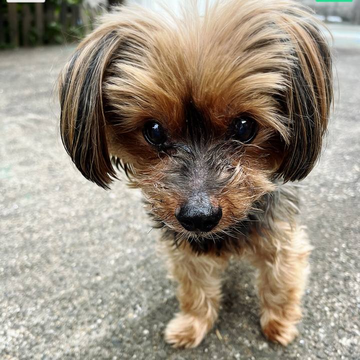 32013e69 cf28 4bbc 96c5 d0c8fc3e7604 1716549735653