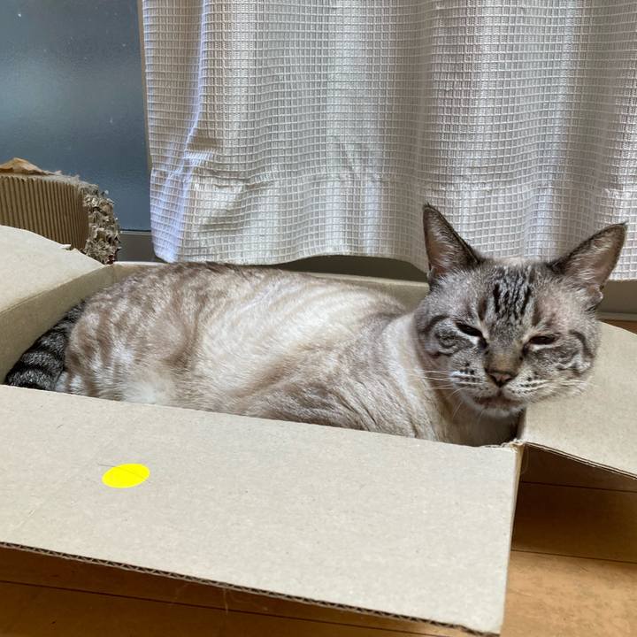 320164e0 9a20 472c a485 15c6cc8720bc 1761144644938