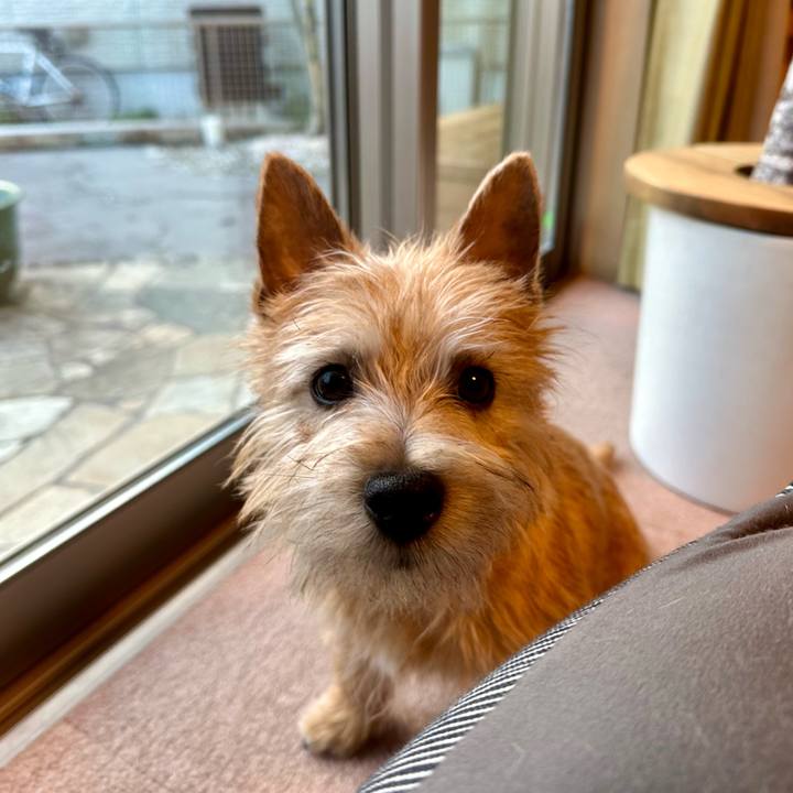 3201a1d7 5dee 4c7b 97c2 ee3d0b9b941f 1707079558724