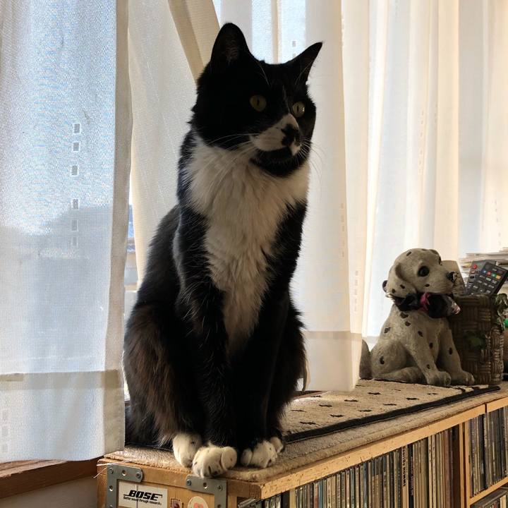 3201efeb 15a7 4011 b98f 1c7d82bfdbc6 1642563091788