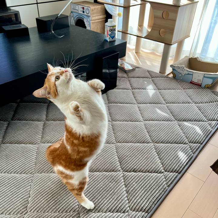 3201fd7e 317e 4891 bf2f 7365f9d0e91a 1762826234744