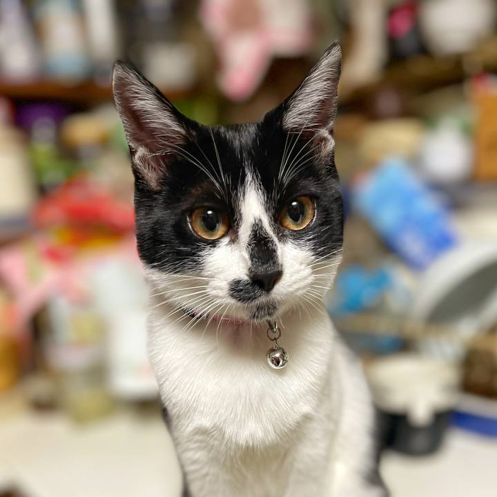 32020e07 1562 4d2b be28 9aa52ee1f529 1706828465147