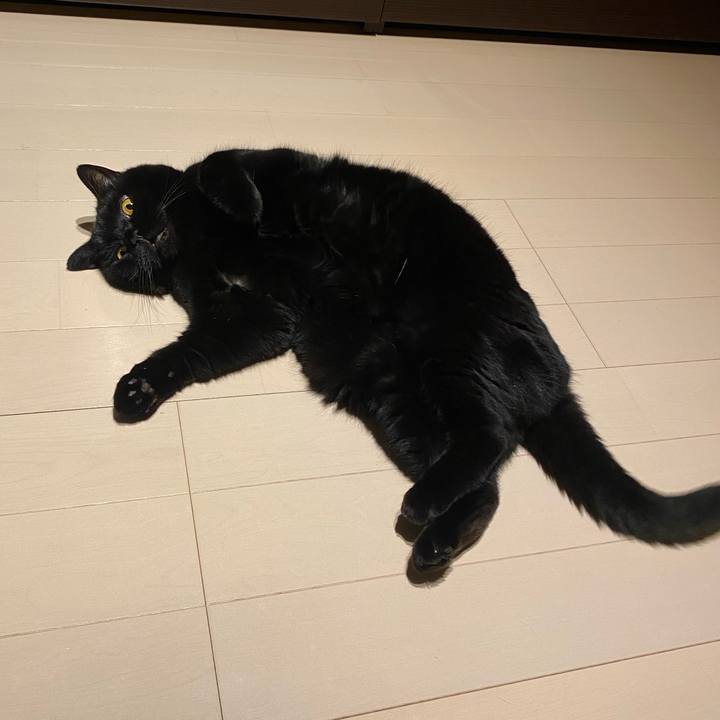 32022829 962a 42f8 a525 332e2579c98c 1757667604561