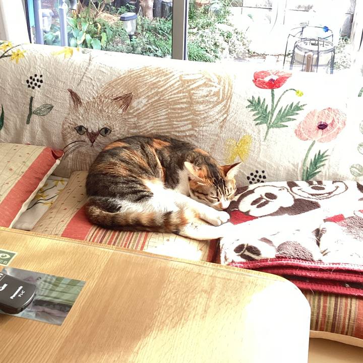 320236a8 164a 411f 9776 b33910422f54 1668574847211