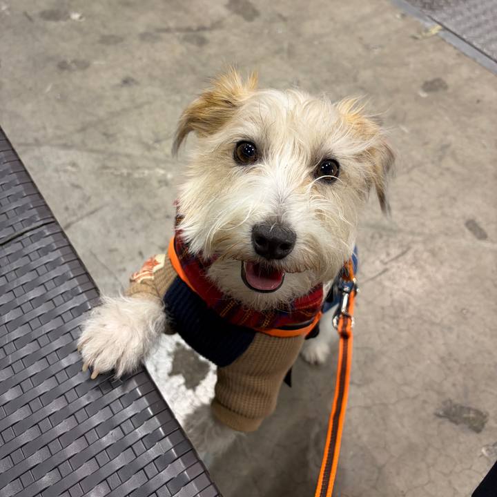 32023fda 3659 485a 95e0 cdcb55165bd4 1769846134893