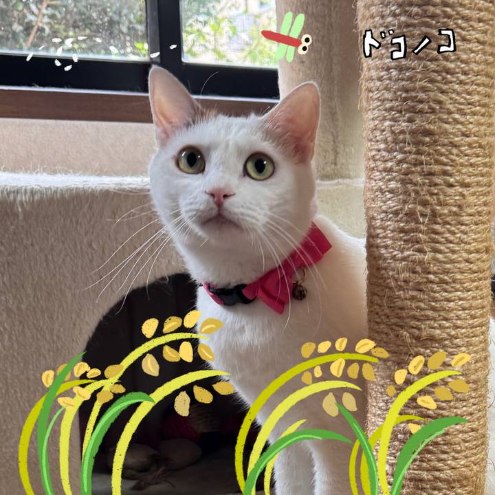 320280be f371 4eff 89ac f43f755c9b66 1761688700293