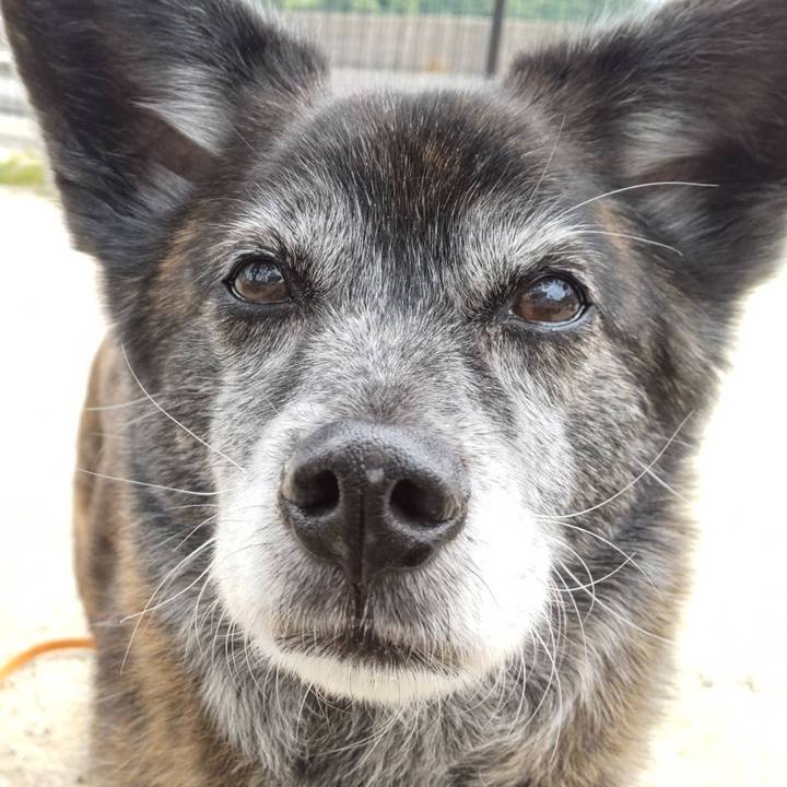 320284ff c675 4ab4 9c6a a4fd6d0380b7 1685060162872