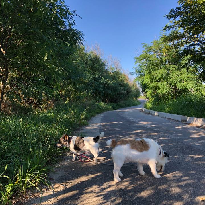 320299e0 c54d 4aa8 b079 5b2f96e16aa8 1567896935101