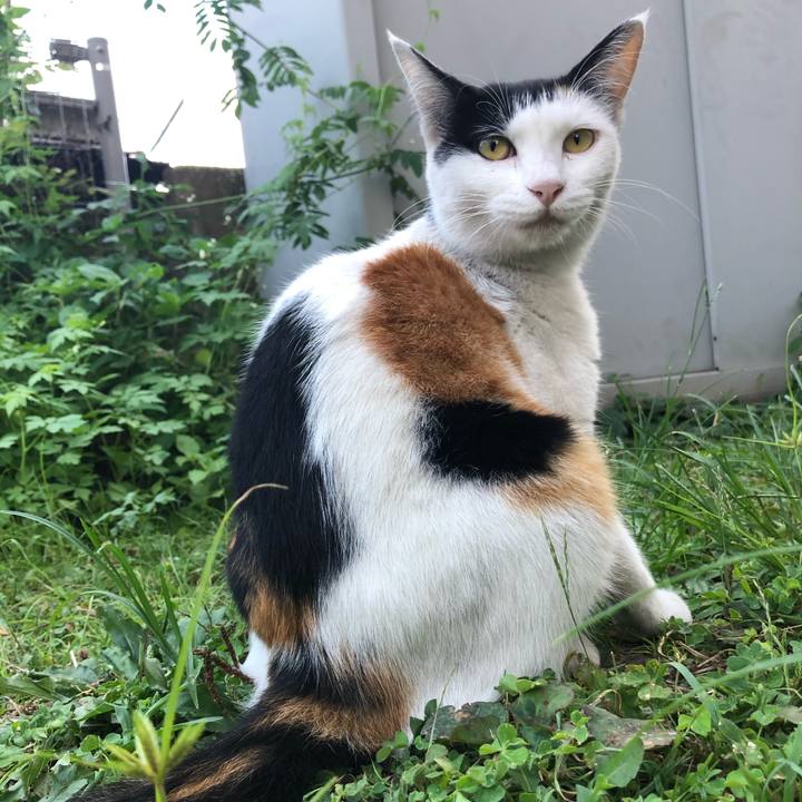 3202a2b1 c664 4ce8 b8b9 8e58c3a2c3d3 1598610835336