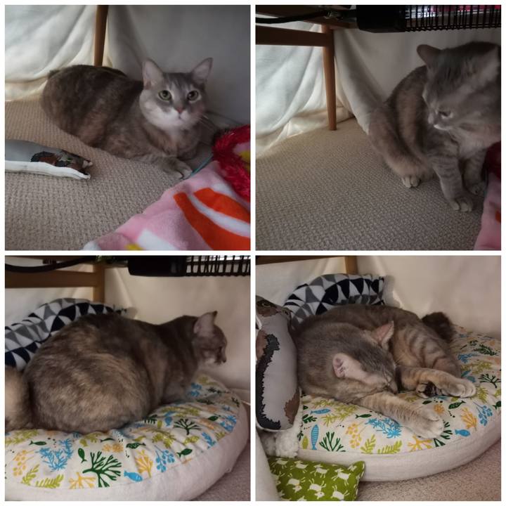 3202c5bb a91c 4172 8a7d 7629b5081f70 1610711516783