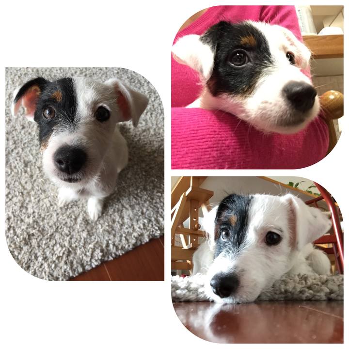 3202ea84 b4f2 4a16 b2b2 5499b10482a4 1581035759906