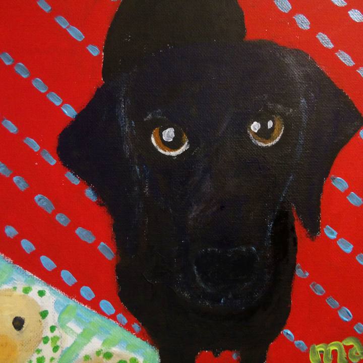 3202ec55 e4c0 468a 87b8 c2369d739caf 1514213995006