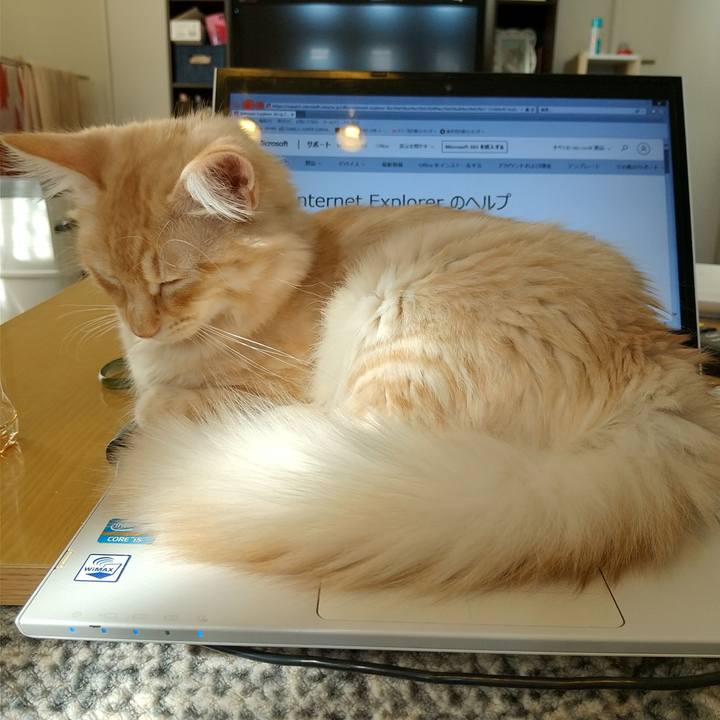 32030d75 e751 488e a14c a864b68ea1aa 1611891317787