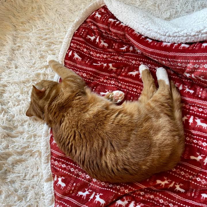 32031d0e 1248 4937 9bd1 8530ce34c5d2 1650169649858