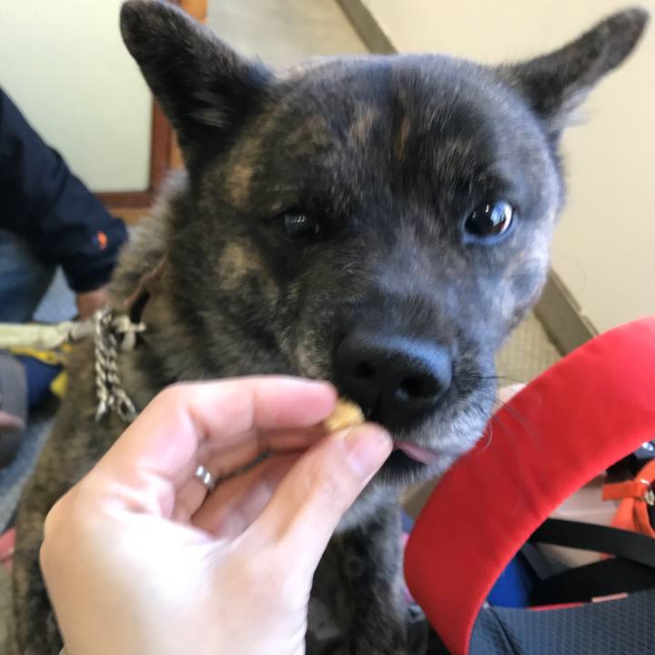 3203528b a565 44a5 b863 57c34b0b111f 1556744065593