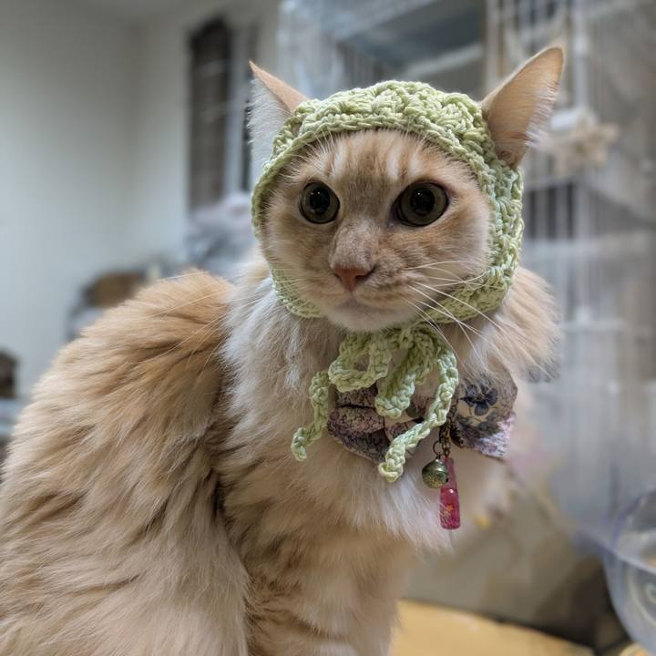 32037541 b9dd 4023 a6c3 c147b58f793d 1769248023619