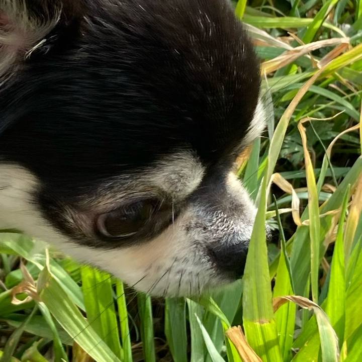 3203ba38 b090 47fe affb 2bfc5e9001e2 1676777236963