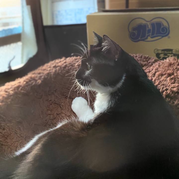 32040a9d 56f2 450d b498 dd91944eb160 1604660573937