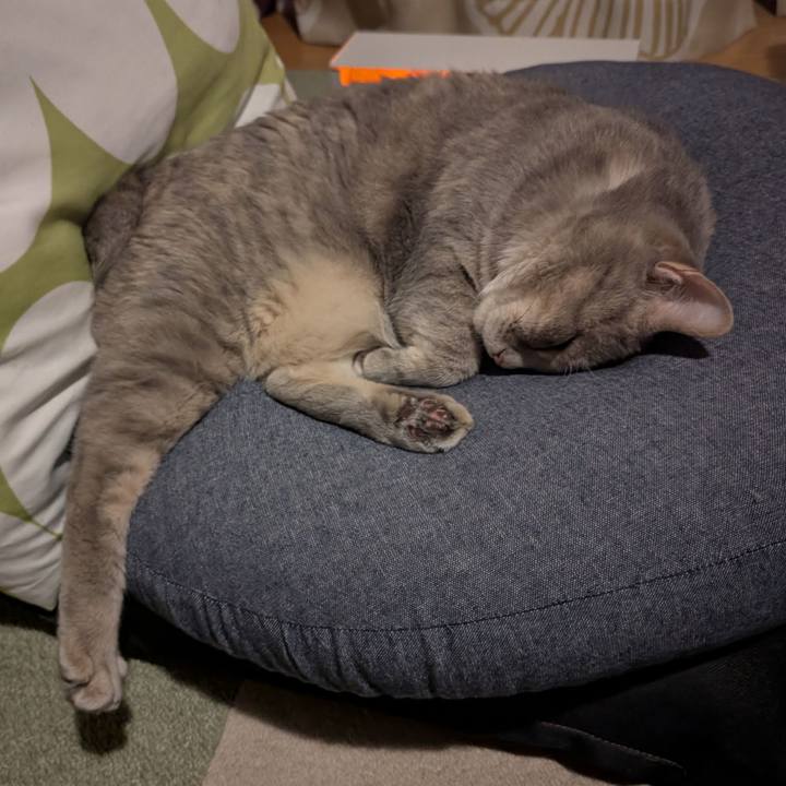 32040bc0 8fd0 40a4 9cc2 69a663da662a 1752562798997