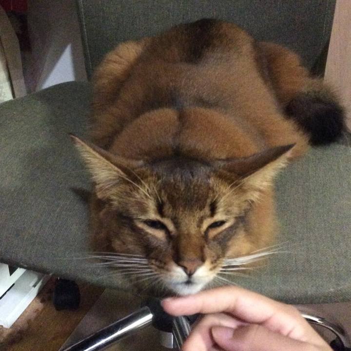 320421b8 711c 4d78 9759 01690963becd 1602807704501