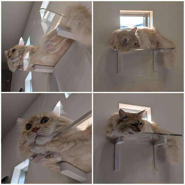 320444a8 386b 46a2 8a2d 42a5e33a321b 1725925873760