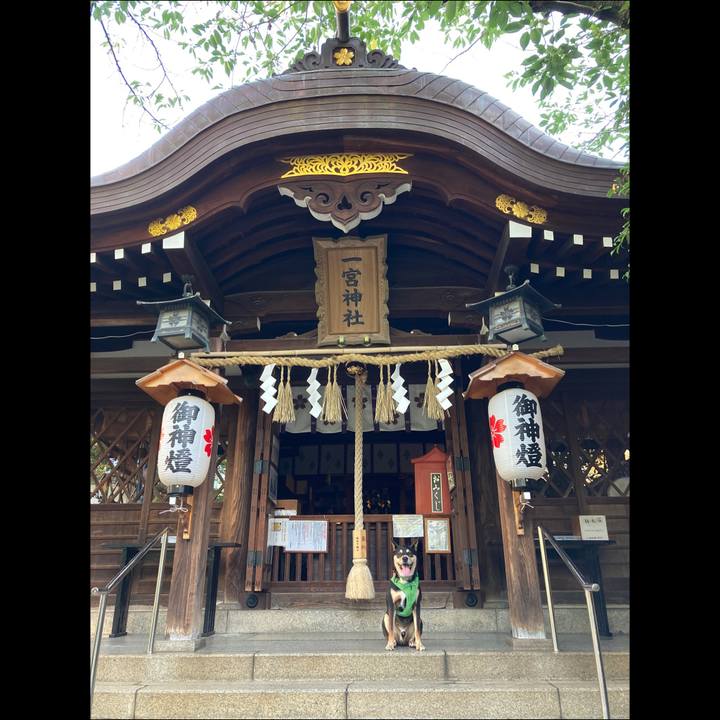 32044f70 e8db 4575 bbe2 6ca4c6473edf 1592965679518