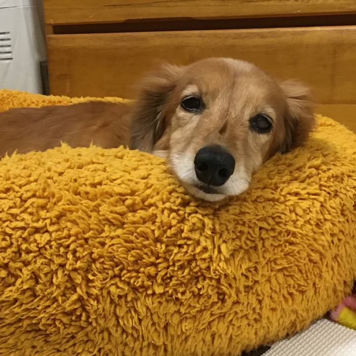 32049fbb 6006 4543 9f69 4606a2f8fe50 1636023538975