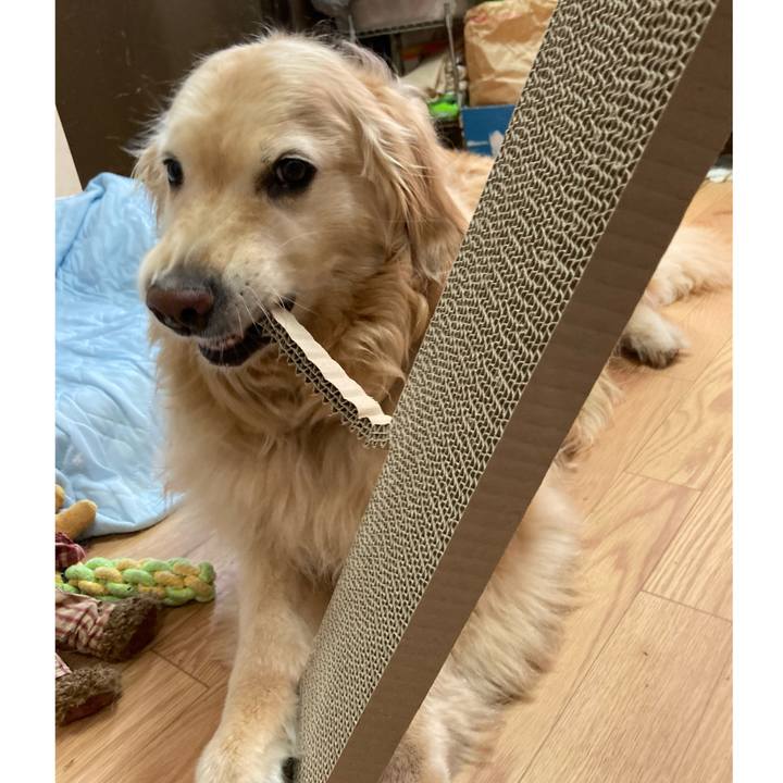 3204d4be e2cc 4c85 97f1 3eef9869107e 1690270901642