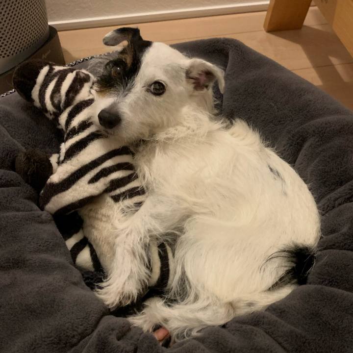 3205162d 7ac7 4024 9add f646b389f470 1665235269411