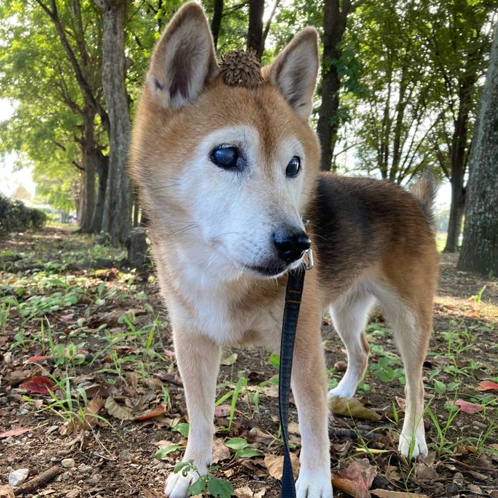 32054f99 9fb5 44e9 864d 649bca30cf8c 1759379813952